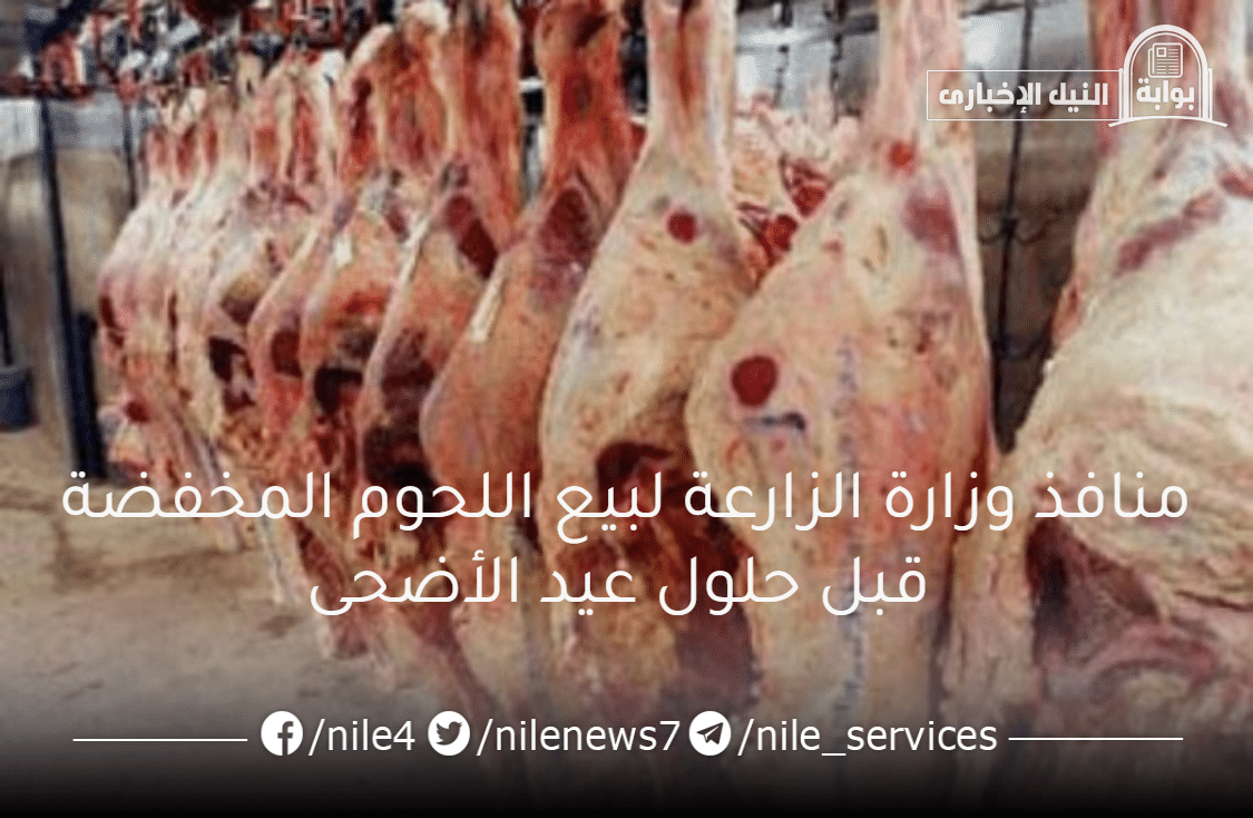 منافذ وزارة الزارعة لبيع اللحوم المخفضة قبل حلول عيد الأضحى المبارك 2023 بأسعار مناسبة للمواطنين