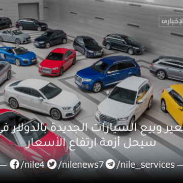 هل تسعير وبيع السيارات الجديدة بالدولار في مصر سيحل أزمة ارتفاع الأسعار وتراجع المبيعات؟
