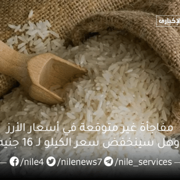 الطن راجع لورا .. مفاجأة غير متوقعة في أسعار الأرز وهل سينخفض سعر الكيلو لـ 16 جنيه