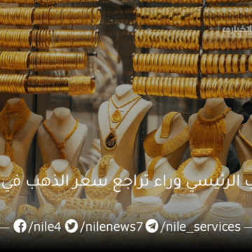 السبب الرئيسي وراء تراجع سعر الذهب في مصر ودور الحكومة المصرية للسيطرة على أسعاره