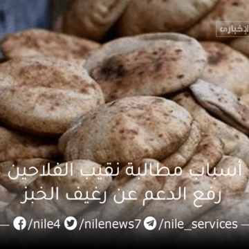 أسباب مطالبة نقيب الفلاحين رفع الدعم عن رغيف الخبز وإعطائه بسعره الحقيقي للمواطنين